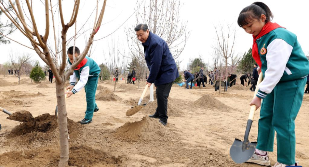習近平氏ら党と国家の指導者、北京で義務植樹活動に参加 