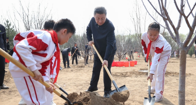 習主席が北京で義務植樹活動に参加