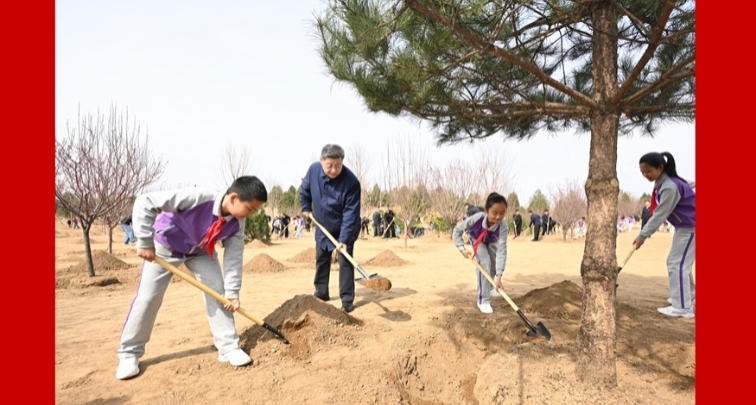 習近平氏ら党と国家の指導者、北京で義務植樹活動に参加